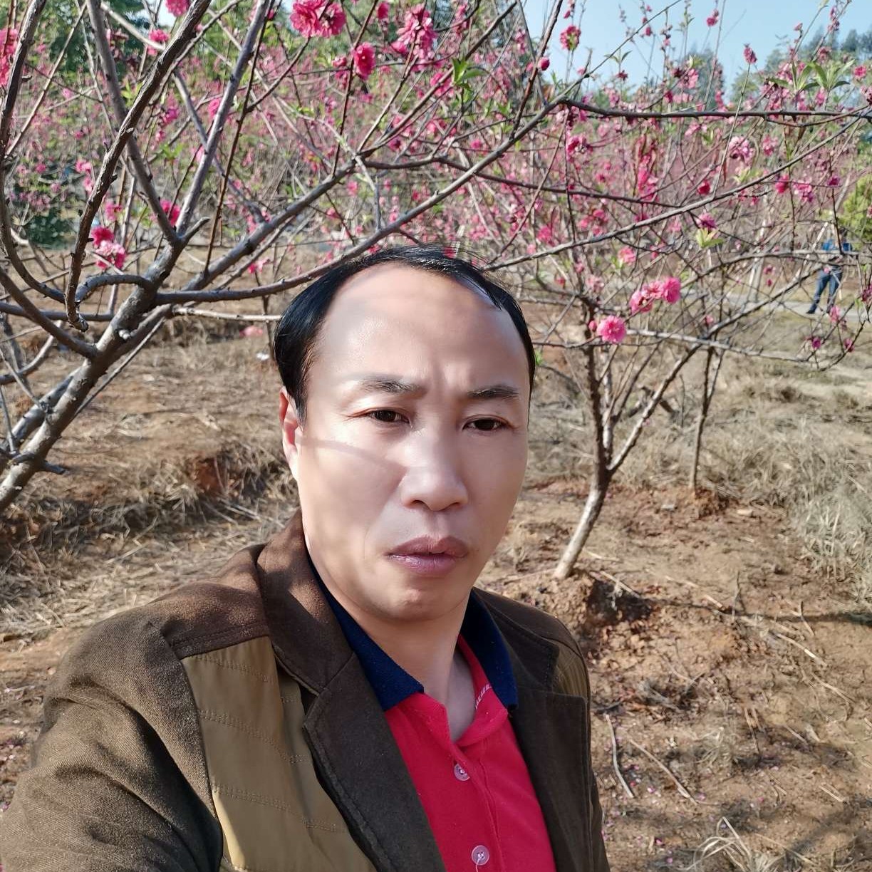 羊年吉祥的照片