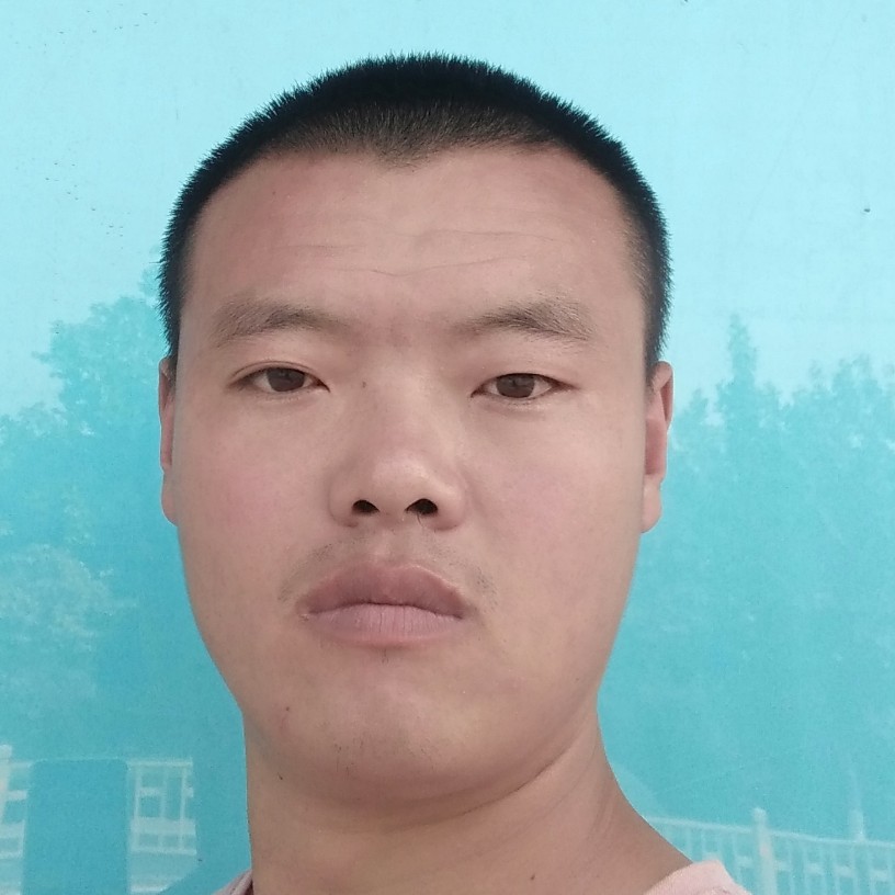 河马还单身的照片