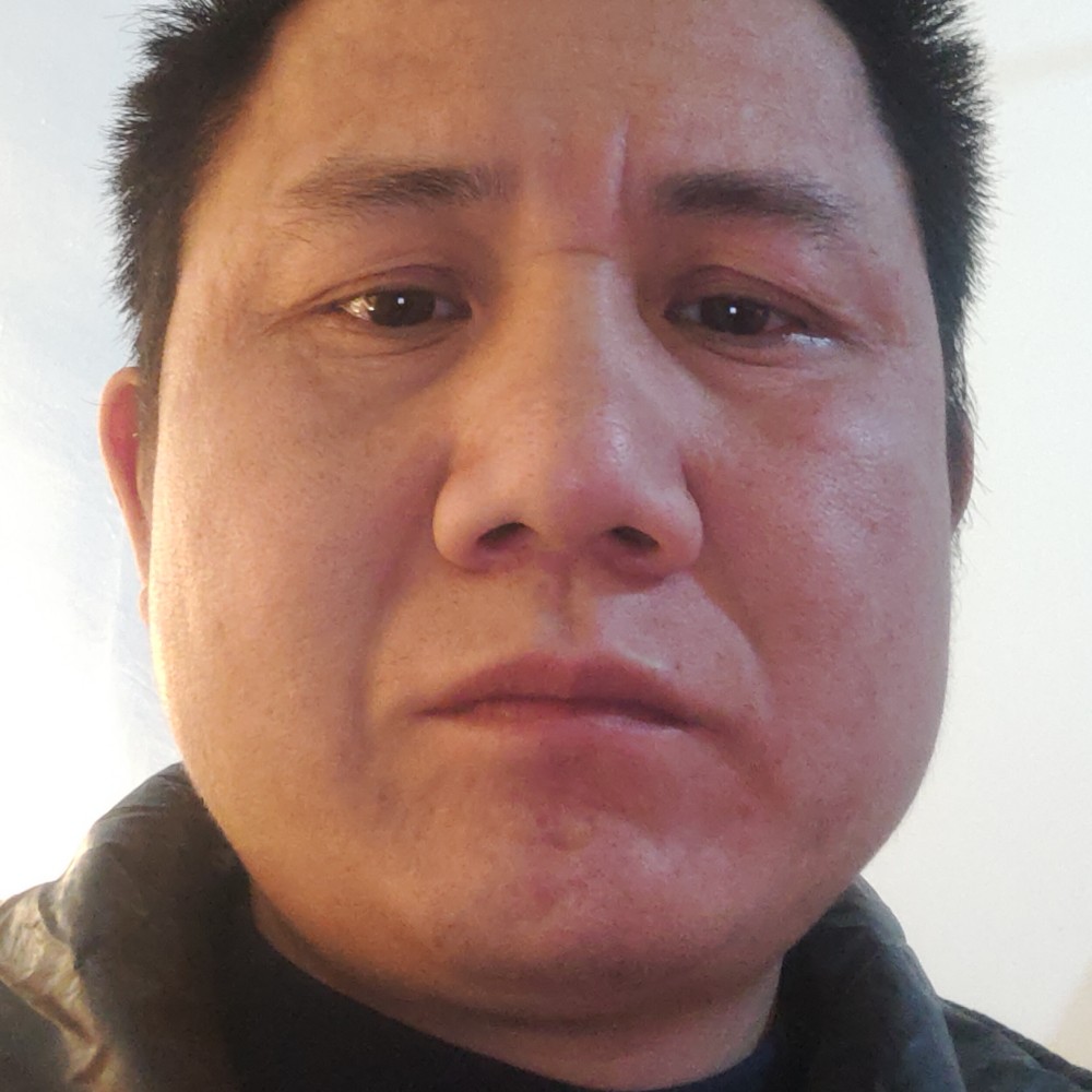 向日葵打清脆的照片