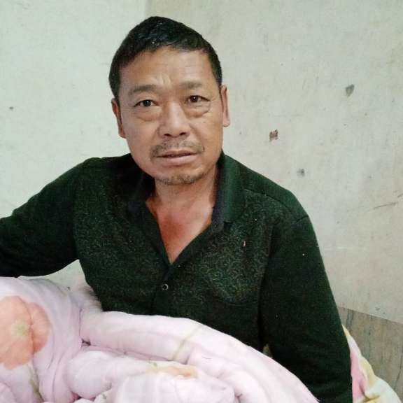 认真蹁跹小天鹅的照片