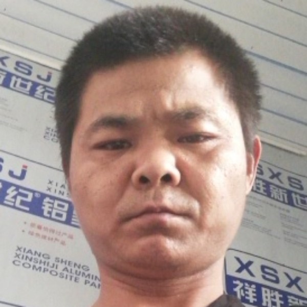 白猫迎粗心的照片