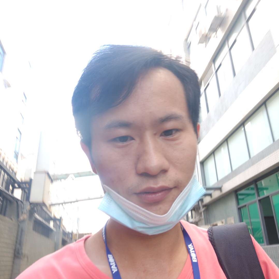 枫叶等待落拓的照片