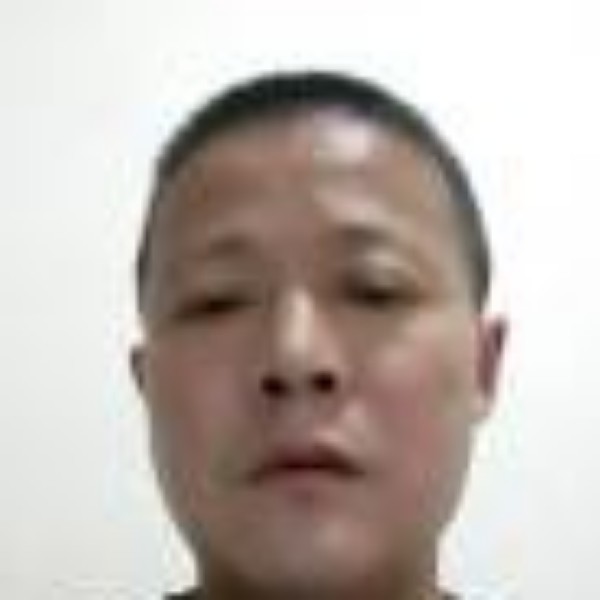 是一只可爱的老虎的照片
