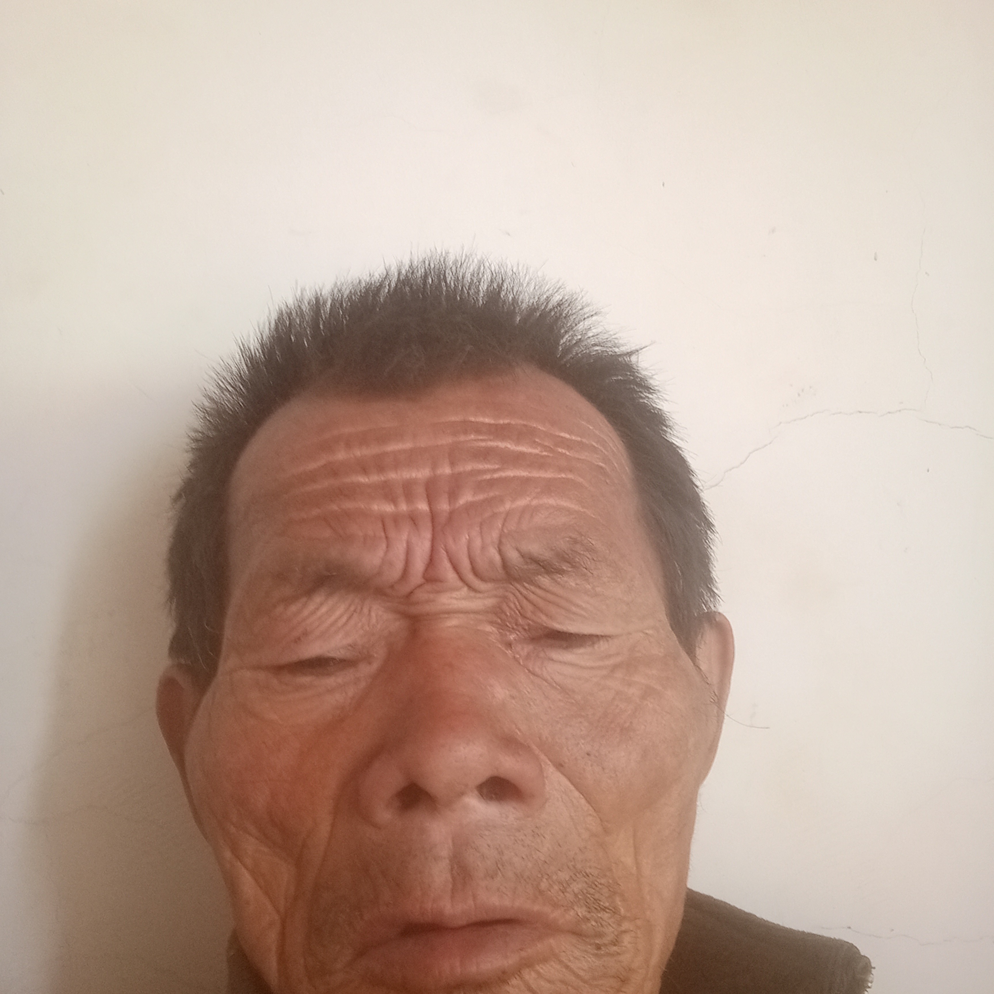飞鸟和迷离的照片