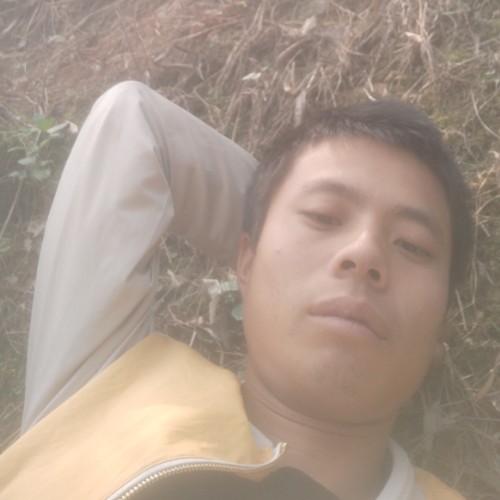 随缘~而至的照片