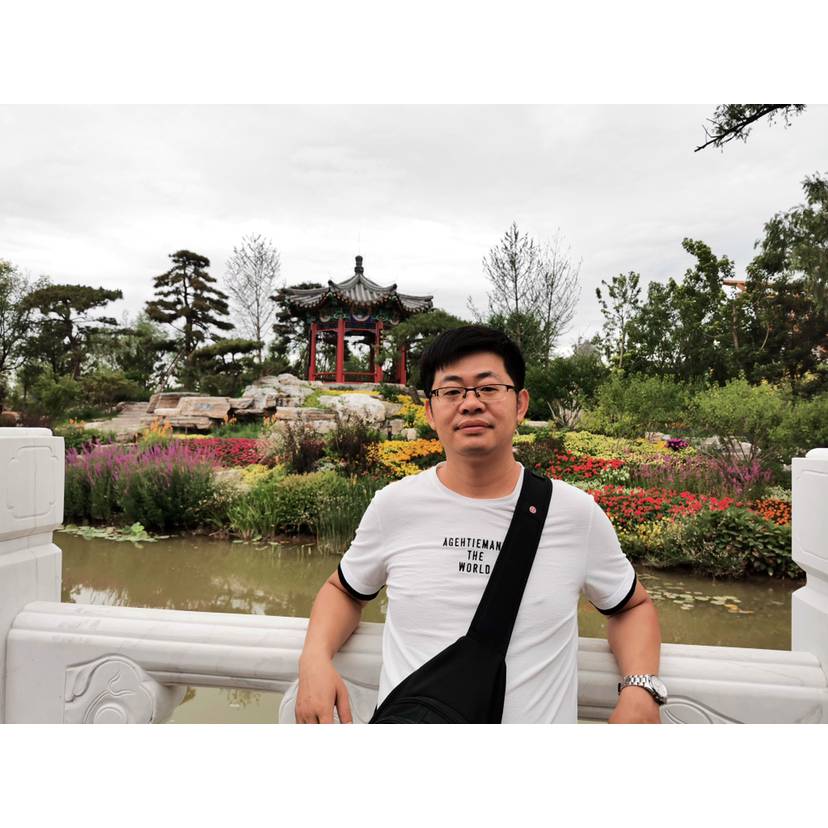 草原之鹰的照片