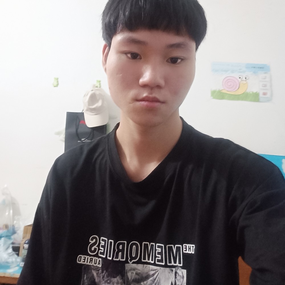 南港孤猫的照片