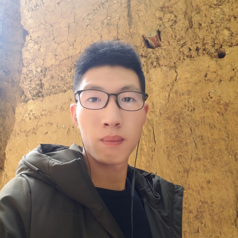 单身向日的照片