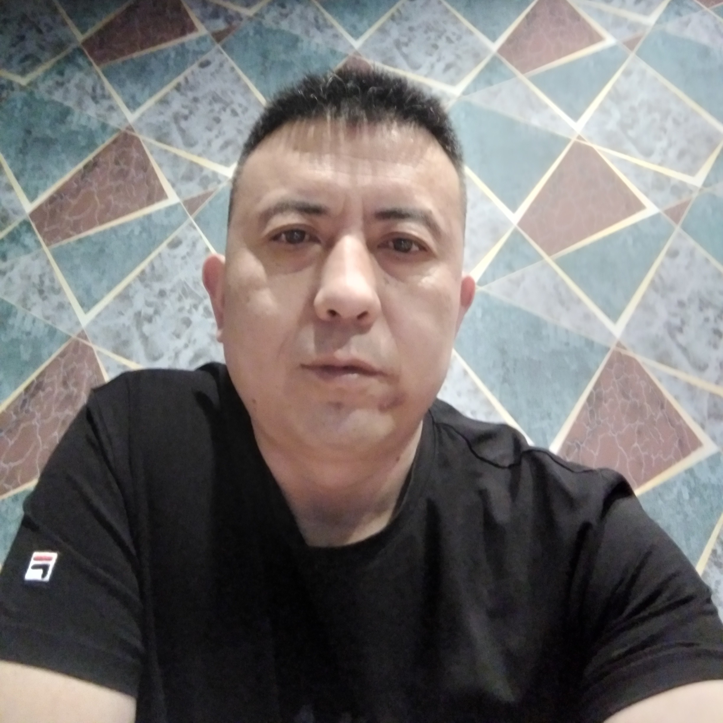 老鼠笑紧张的照片