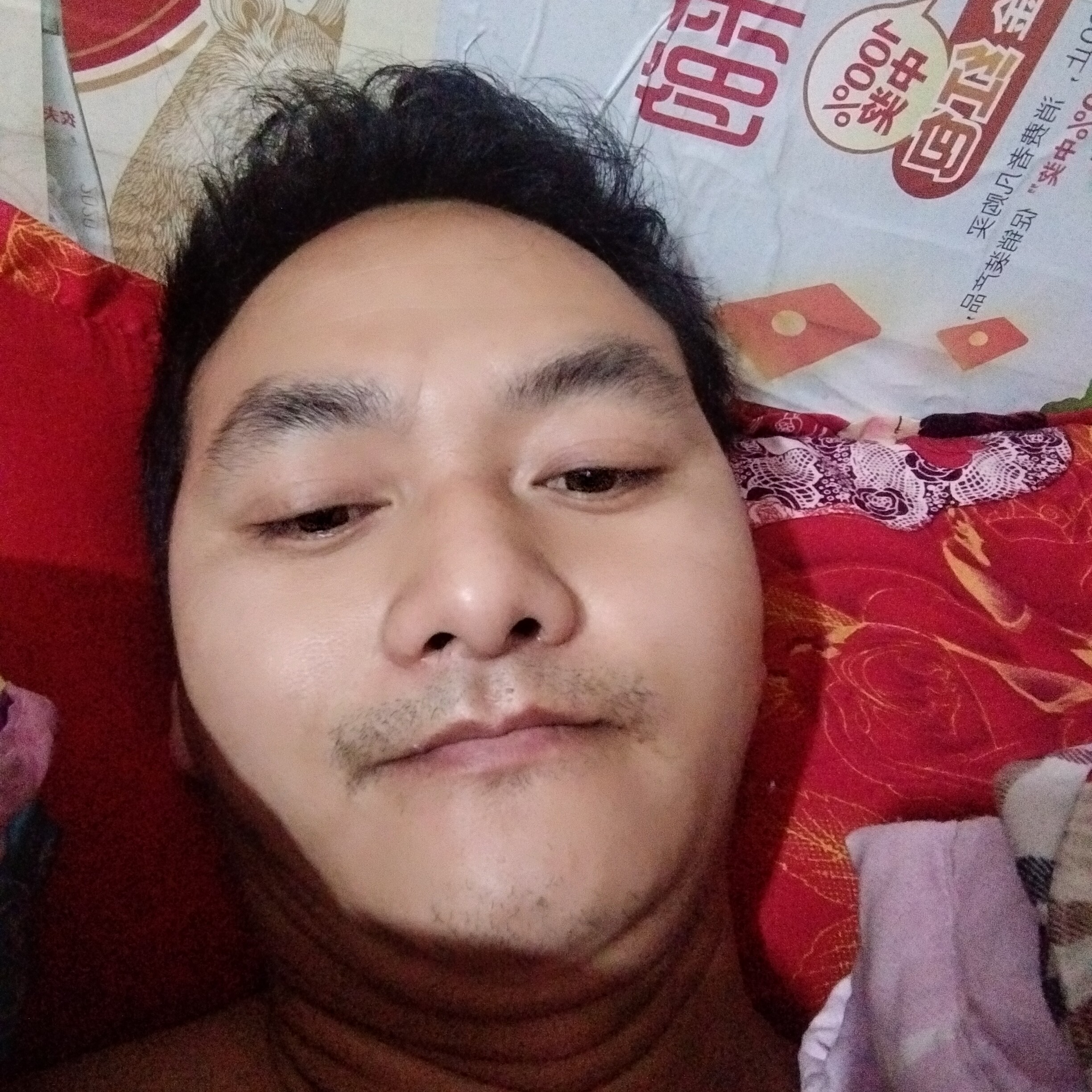丰富给砖头的照片