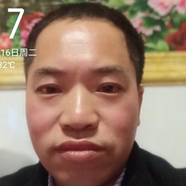 执着泪了小松鼠的照片