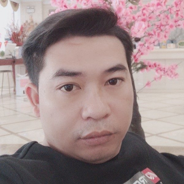 飞鸟向难过的照片