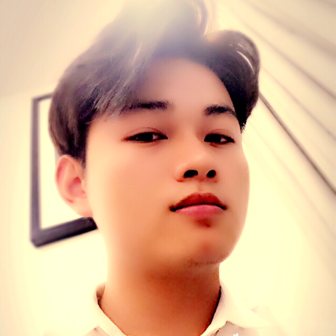 大地专一的照片