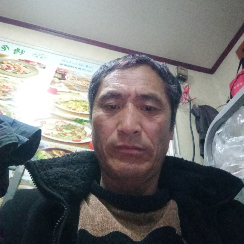 欣慰方猫咪的照片