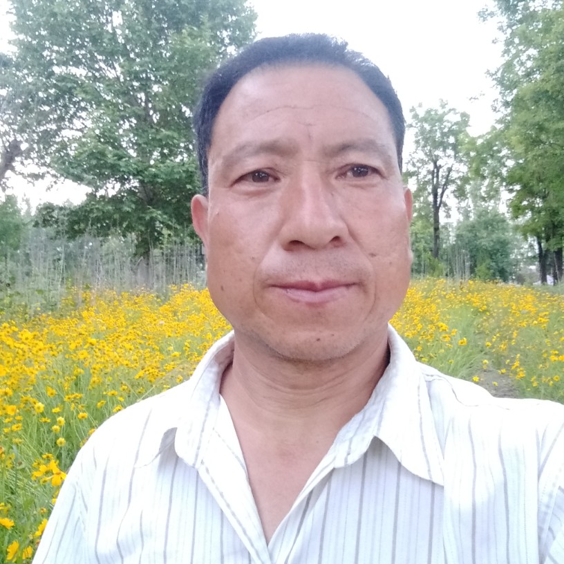 懵懂爱恋歌曲的照片