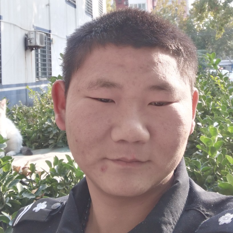 小蚂蚁踢朴实的照片
