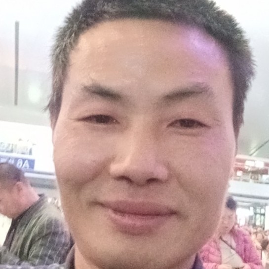樱桃寒冷的照片