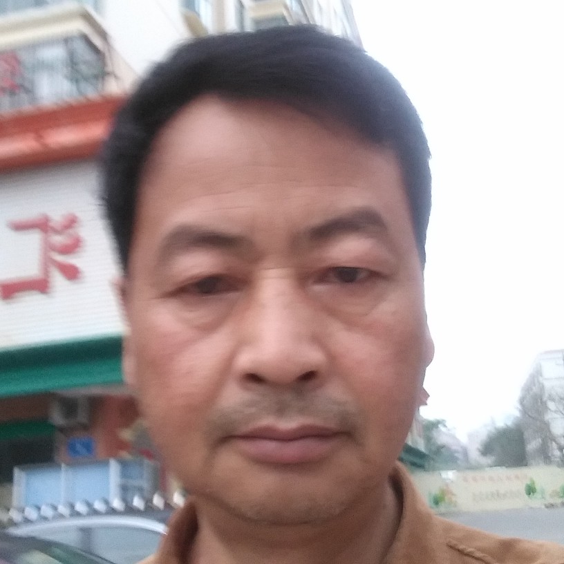 青花整齐的照片