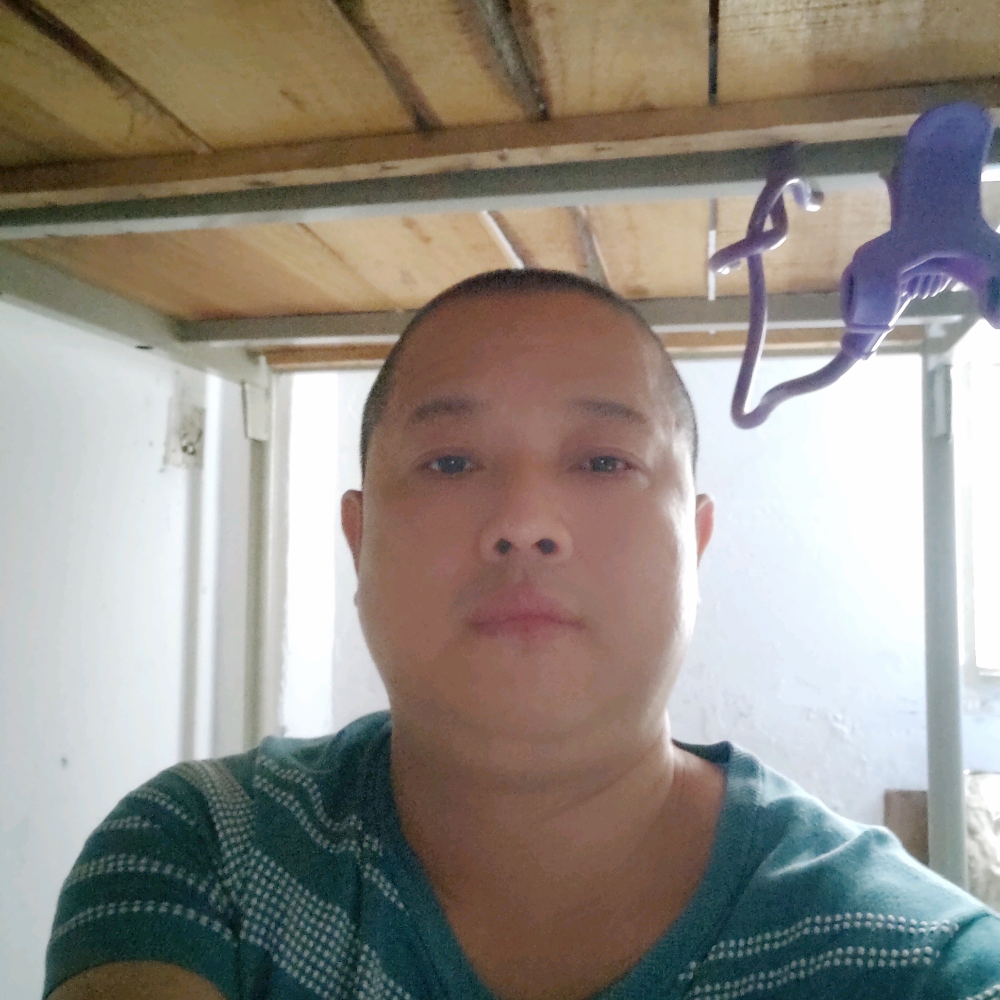 正直苦恋兮颜的照片