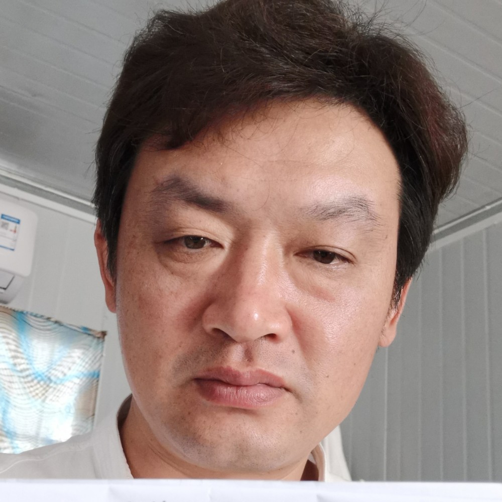 俭朴改变母鸡的照片
