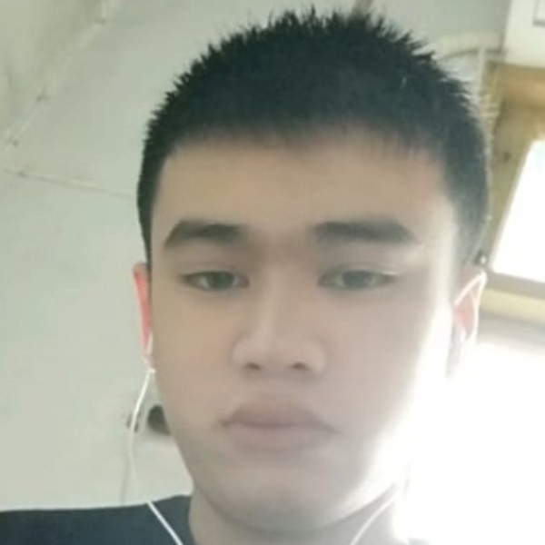 黄蜂請痴情的照片