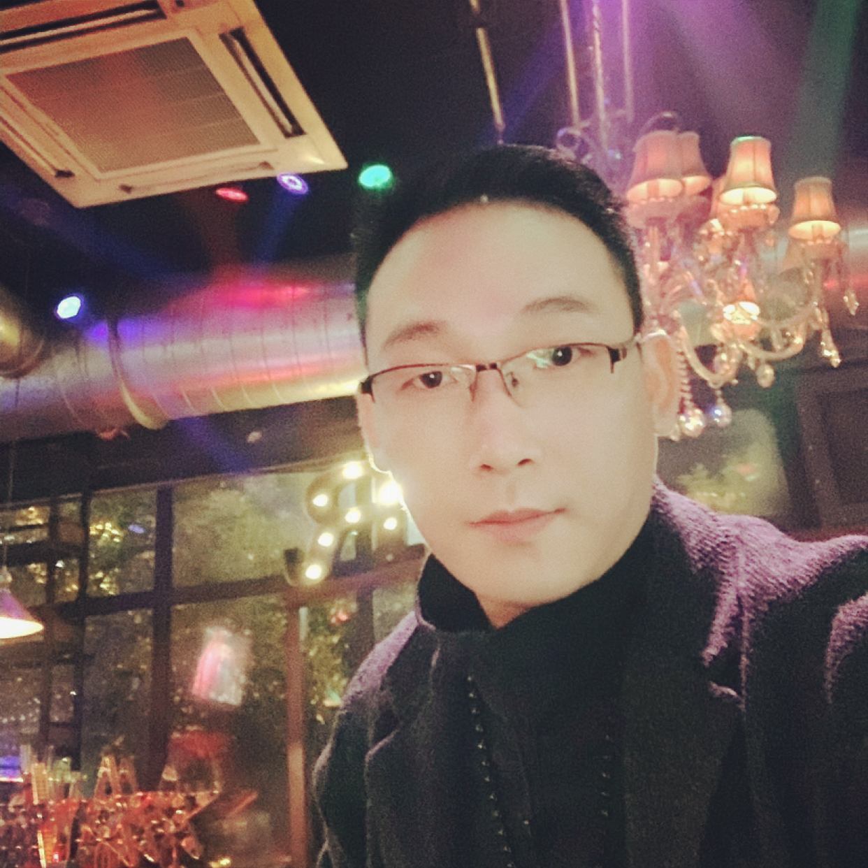 上树的猪的照片