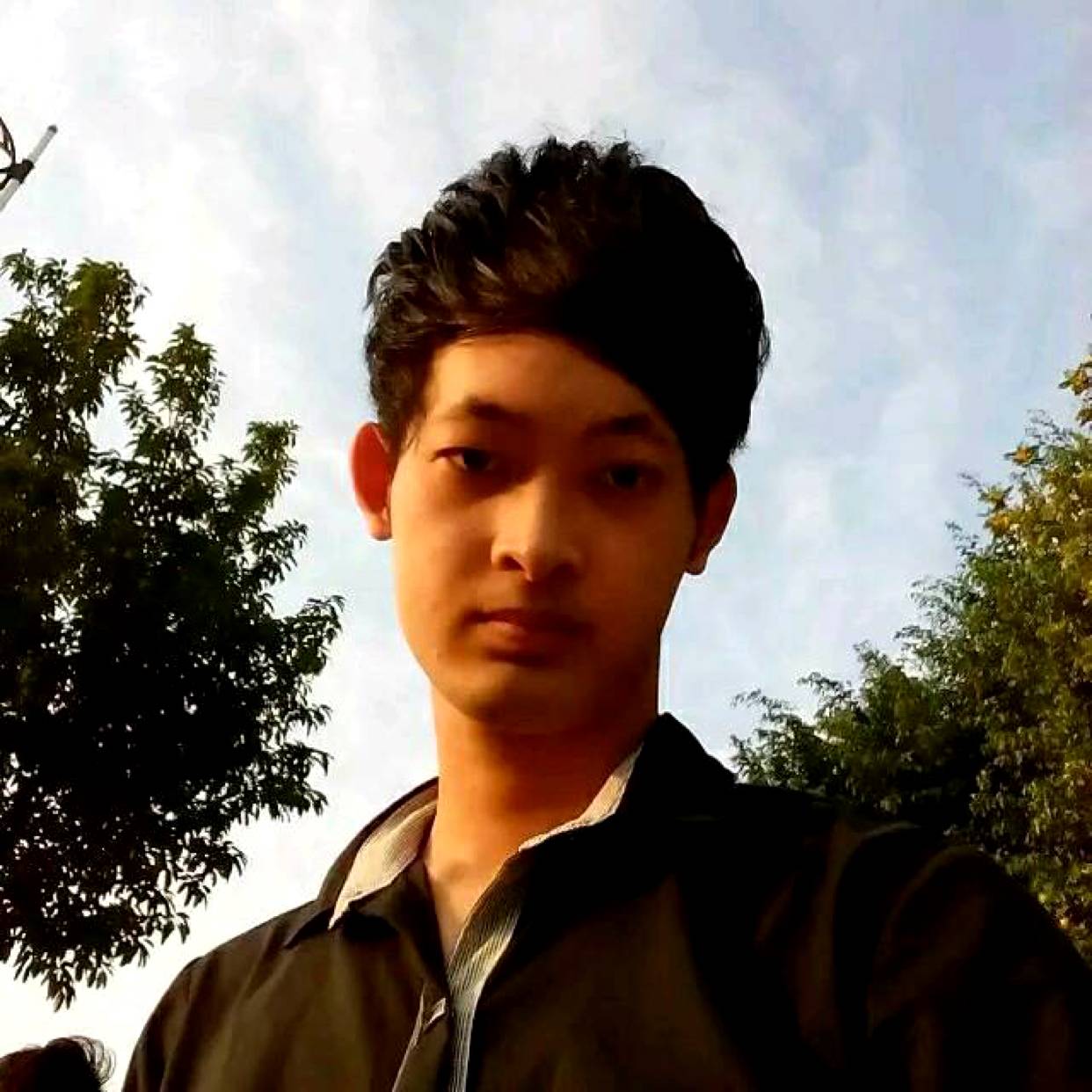 风中放弃小蚂蚁的照片