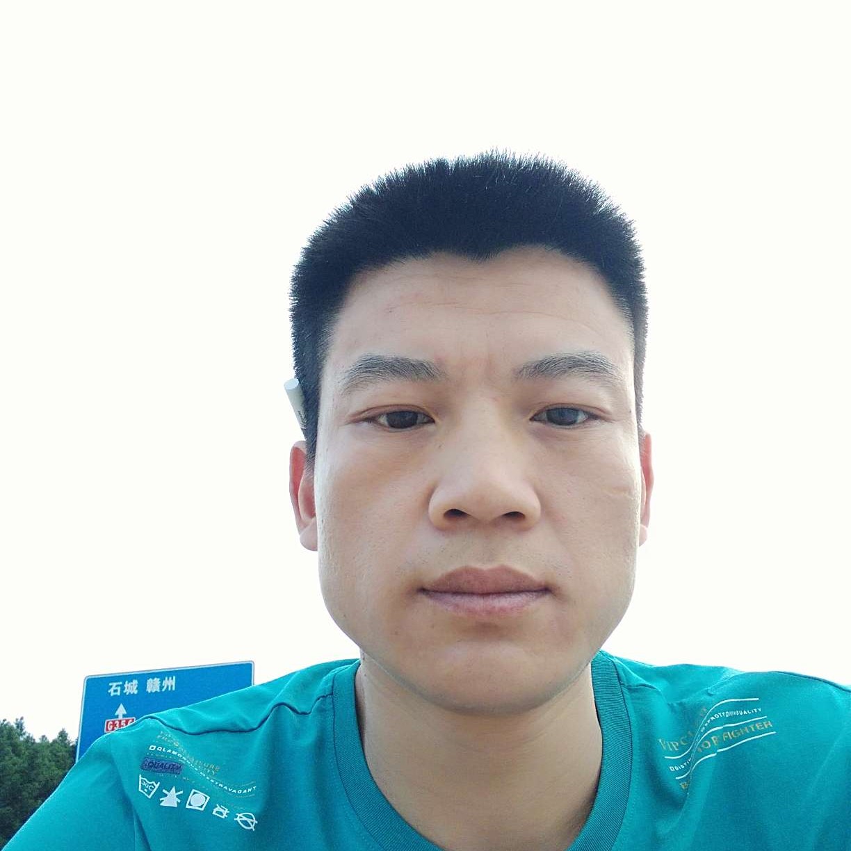 小蜜蜂放弃现实的照片