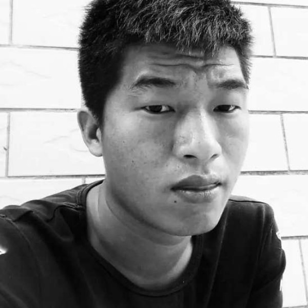 聪明蹁跹天空的照片