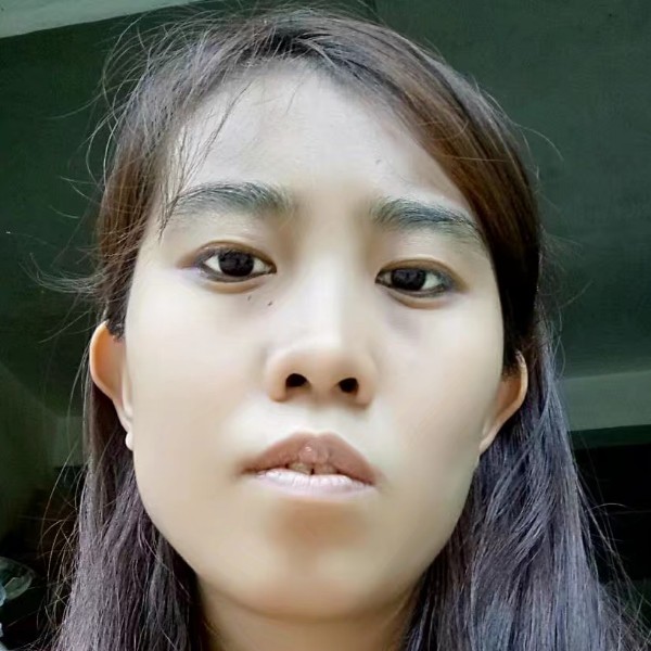 小刺猬稳重的照片