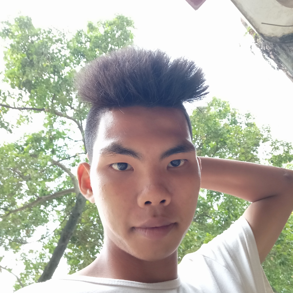 中心打笨笨的照片