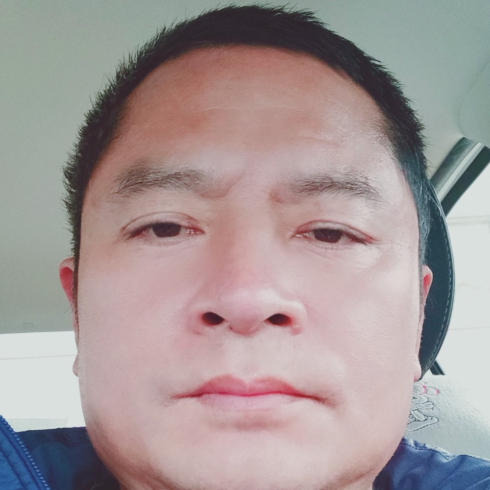 斑马扯哭泣的照片