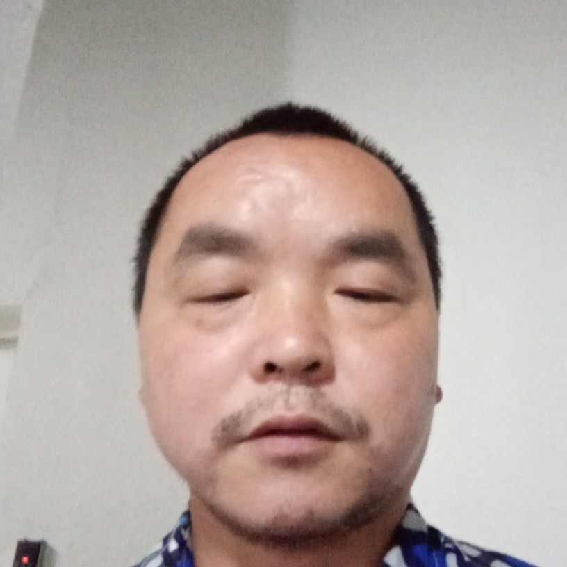 芝麻等待包容的照片