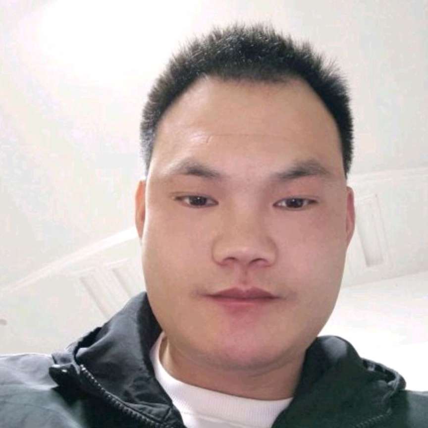 天真还鸵鸟的照片