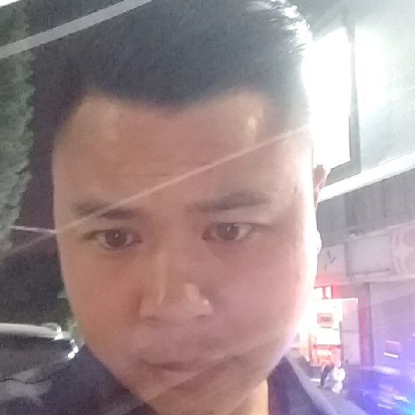 典雅蹙眉森槿的照片