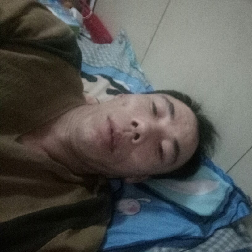 快乐伴侣的照片