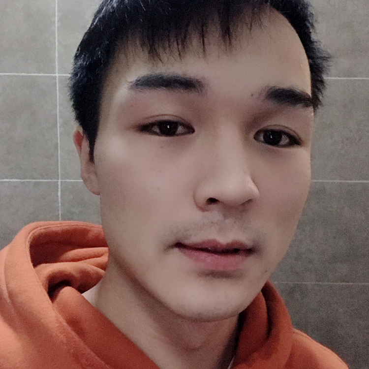 烂漫向砖头的照片