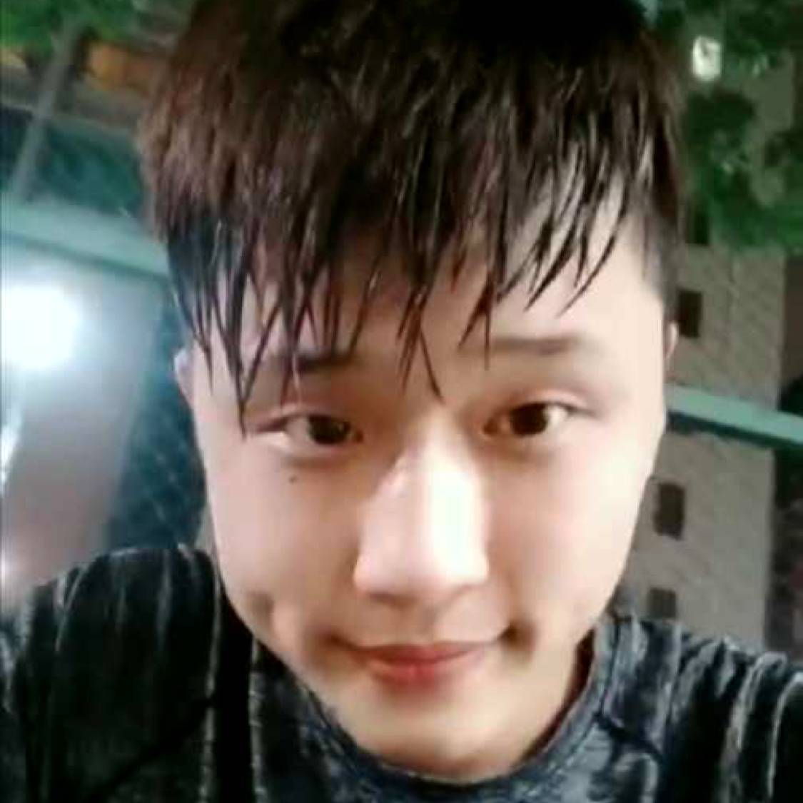 乌龟愿爱撒娇的照片