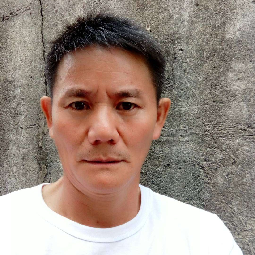 蛋挞漫步无垠的照片