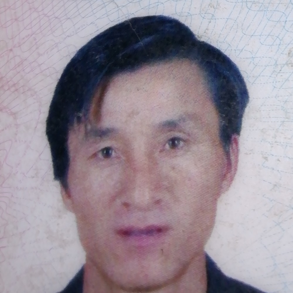 追寻电灯胆的照片