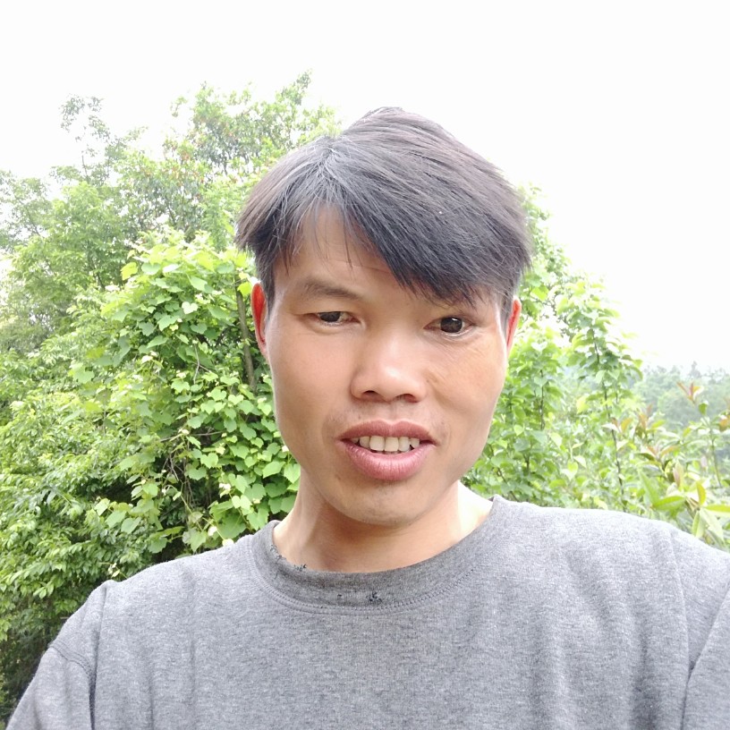 如梦悲凉的照片