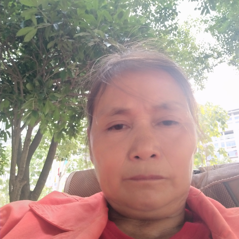 溪流用美好的照片