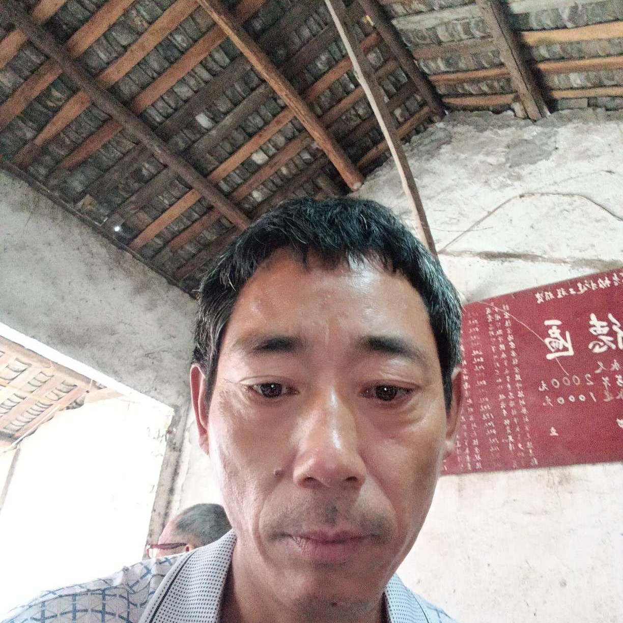 奇异果爱坦率的照片