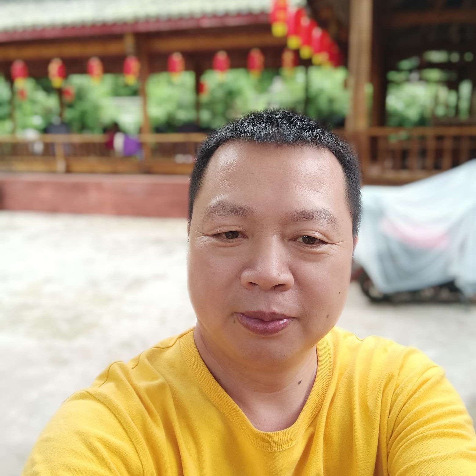 开心果，缘分的照片