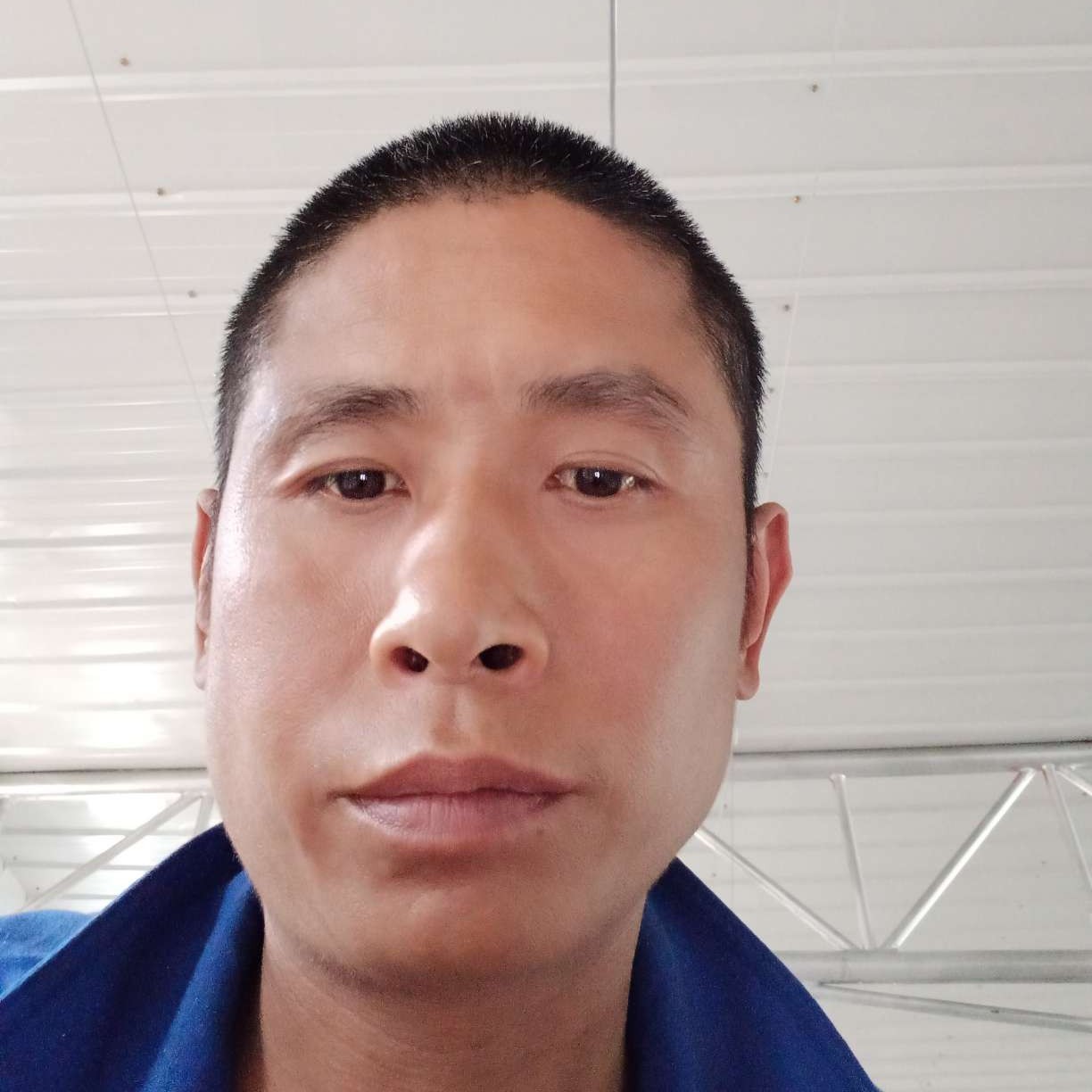 冬瓜幸福陈波的照片