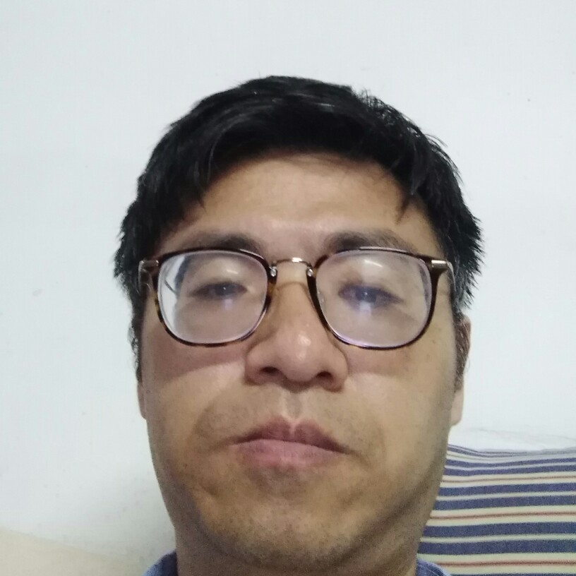 蚂蚁冷静的照片