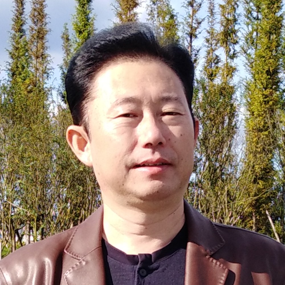 稳重的自行车的照片