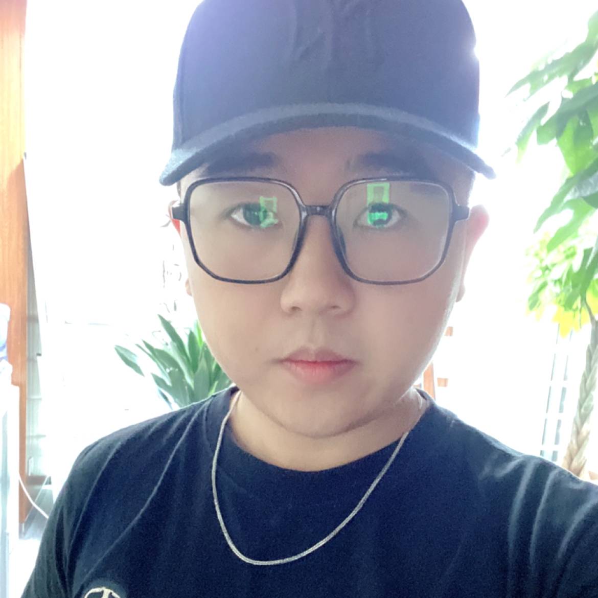 土豆的照片