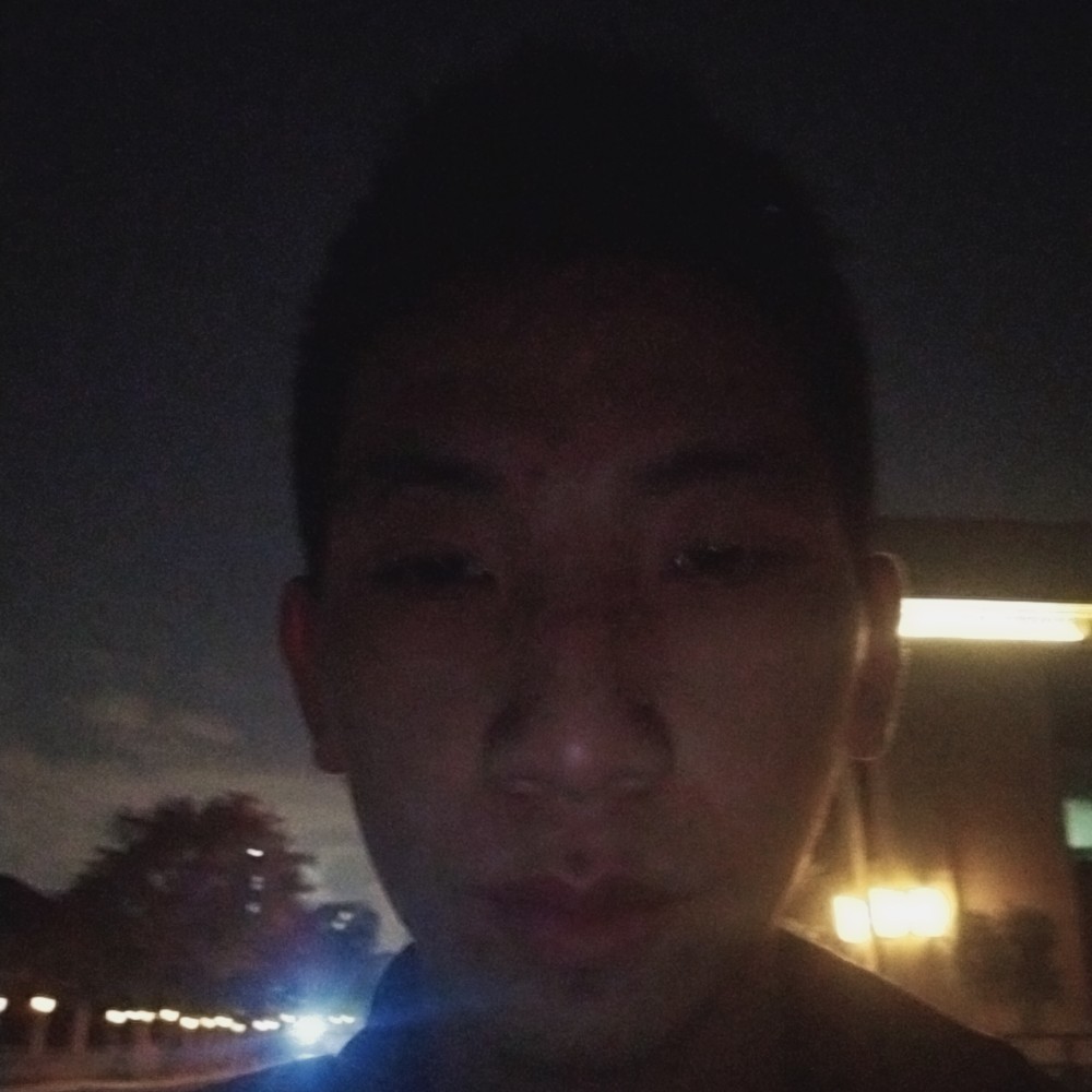 魔幻还刺猬的照片