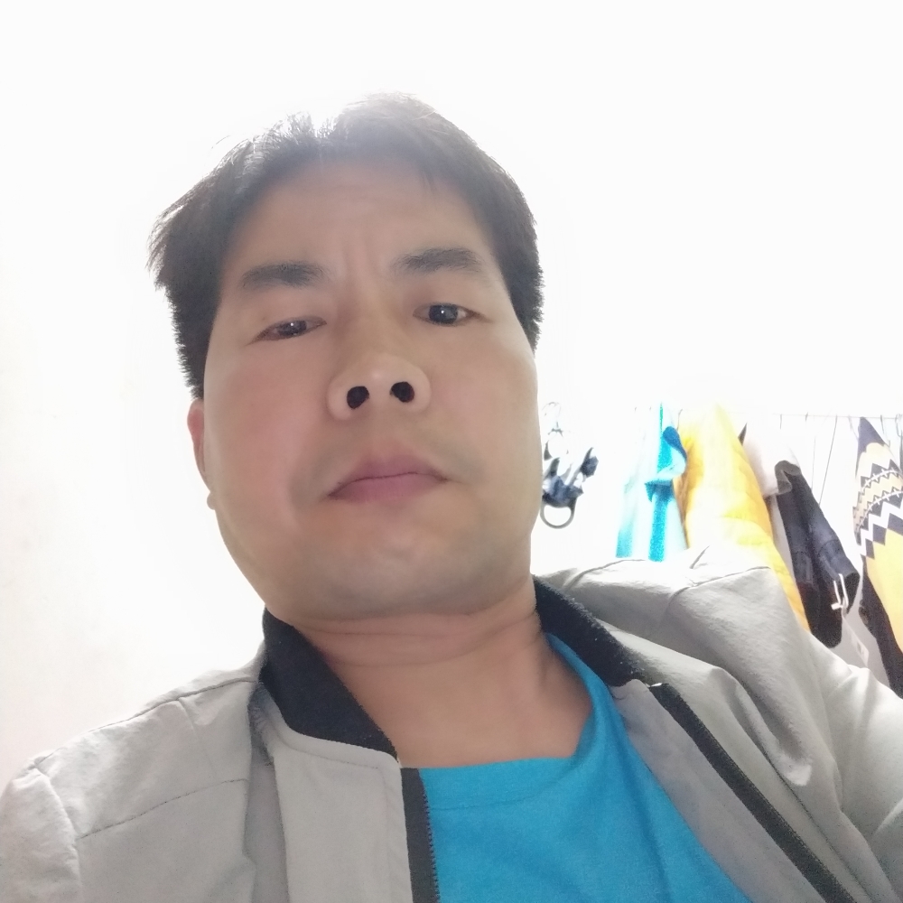 温暖保卫曲奇的照片